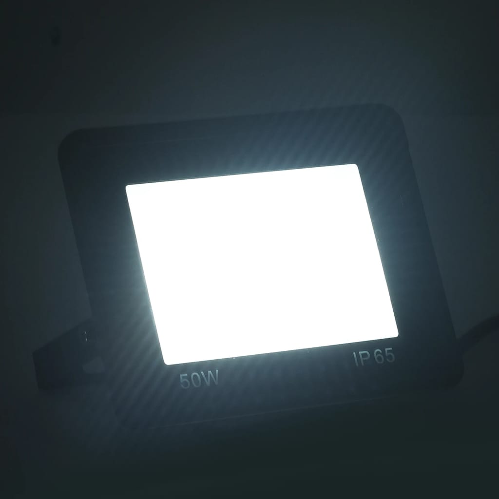 vidaXL LED reflektor 50 W studené bílé světlo
