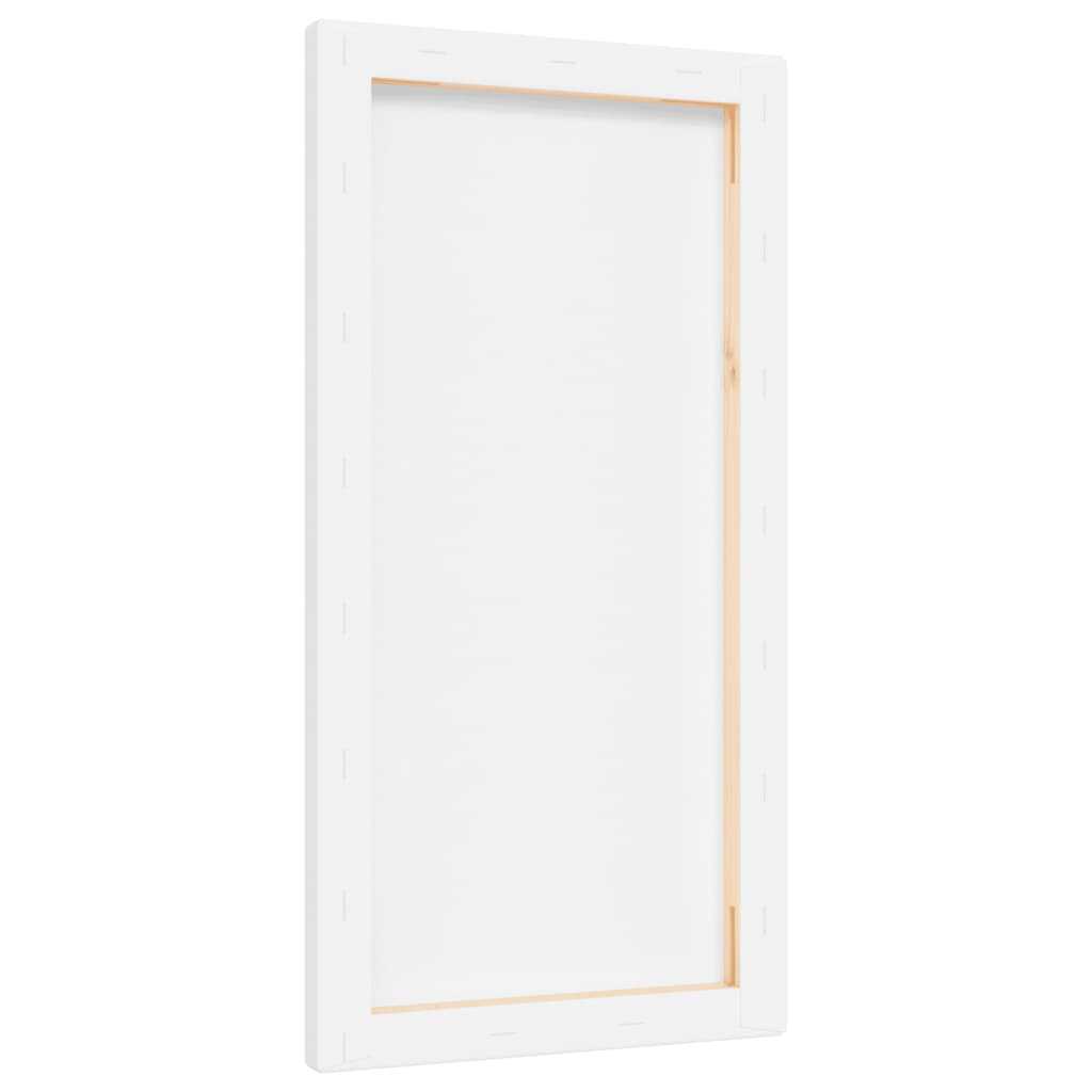 vidaXL Malířská plátna 12 ks bílá textil a masivní borové dřevo