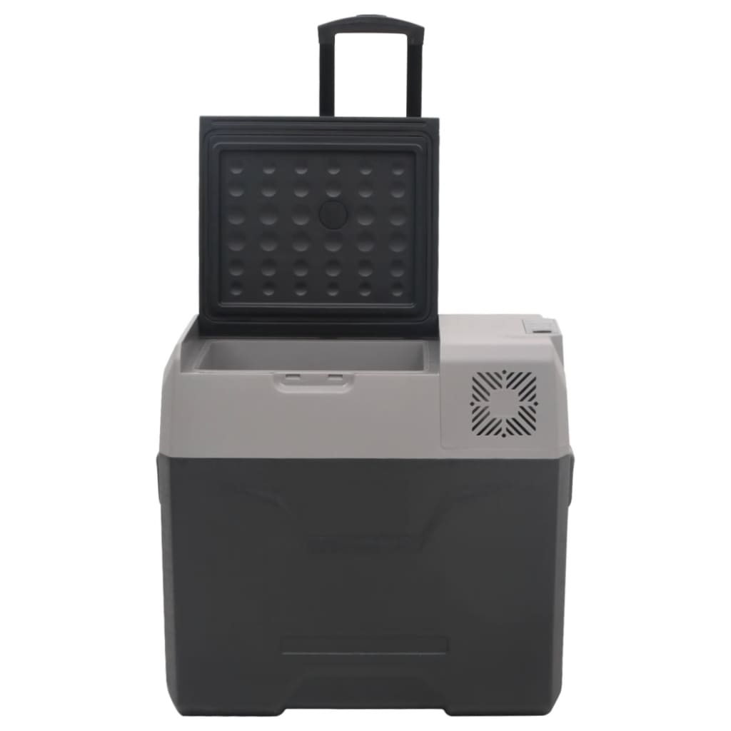 vidaXL Chladicí box s kolečky a adaptérem černý a šedý 30 l PP