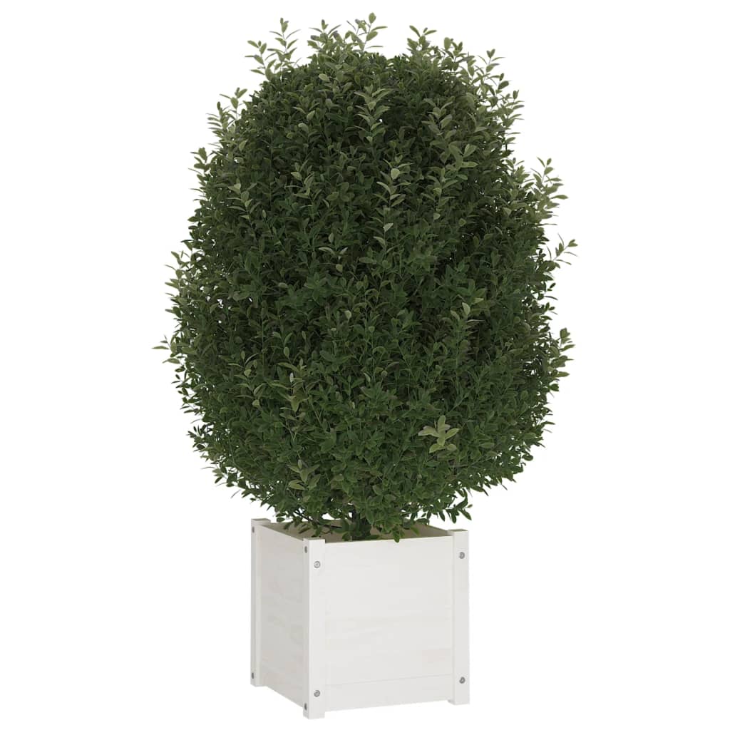 vidaXL Zahradní truhlíky 2 ks bílé 40 x 40 x 40 cm masivní borovice