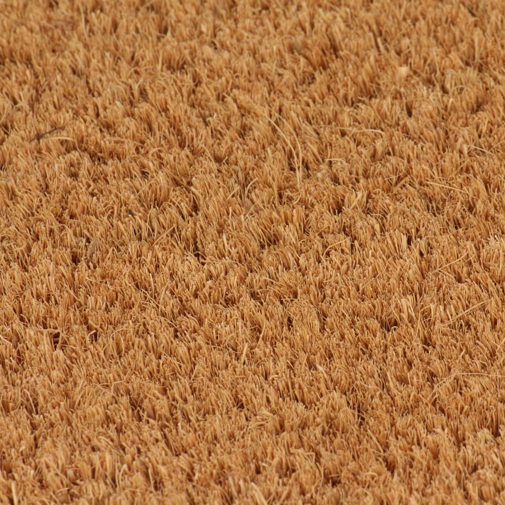 vidaXL Rohožky z kokosových vláken 2 ks 24 mm 40 x 60 cm přírodní
