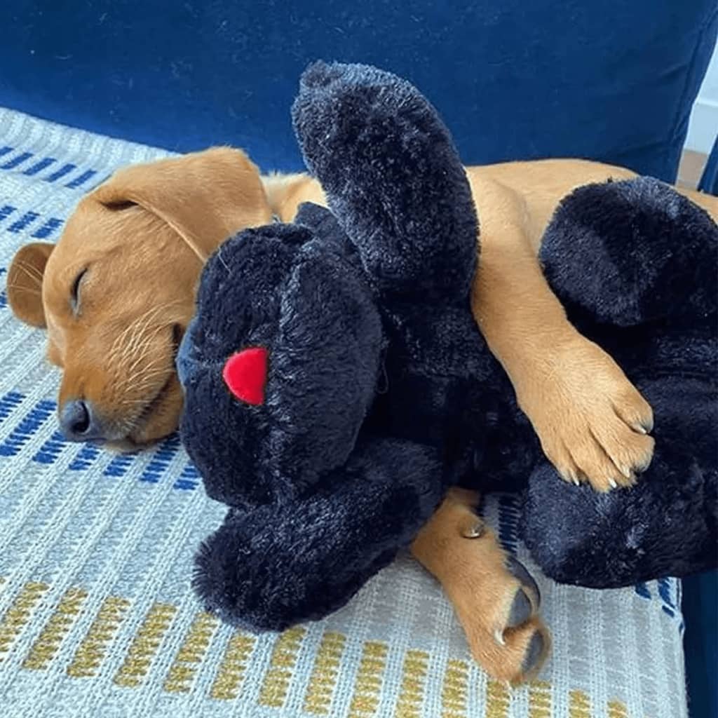 Snuggle Puppy Plyšové štěně s tlukoucím srdcem černé