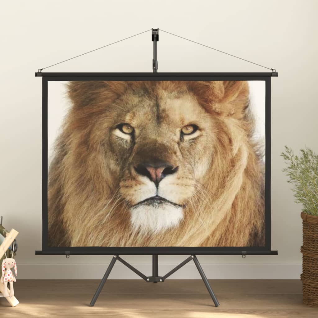 vidaXL Projekční plátno se stativem 60" 4 : 3