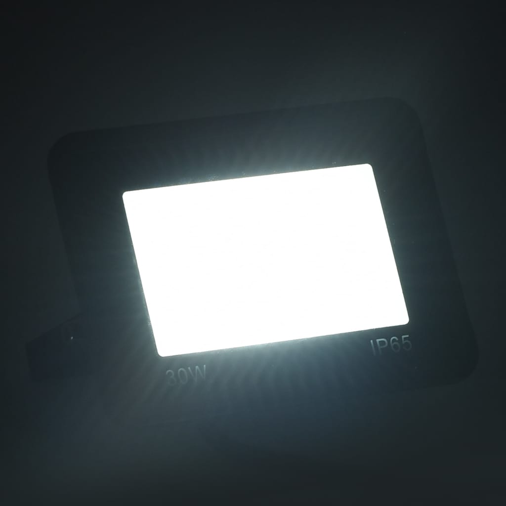 vidaXL LED reflektor 30 W studené bílé světlo