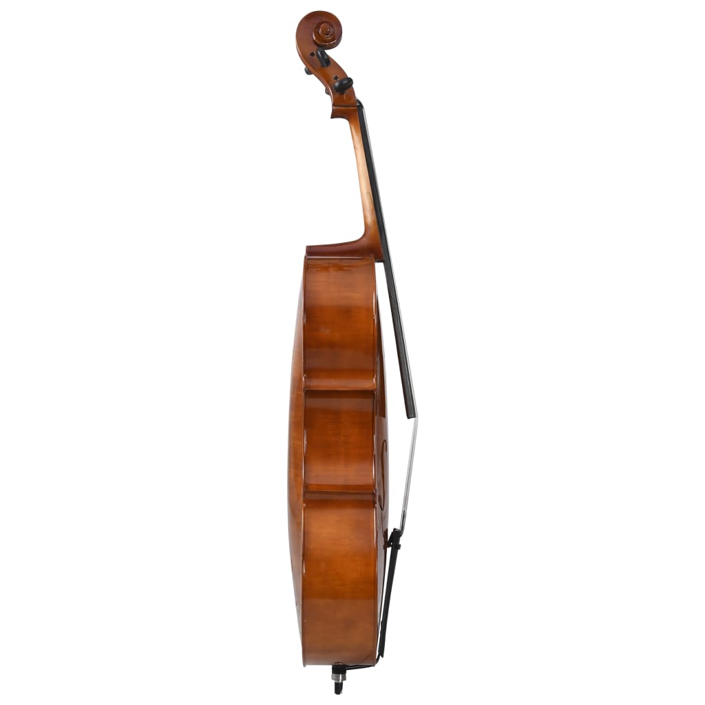 vidaXL Cello set s obalem a smyčcem z přírodních žíní tmavé dřevo 4/4