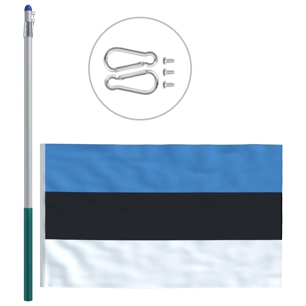 vidaXL Estonská vlajka a stožár hliník 6 m