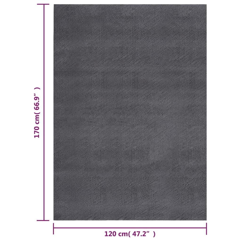 vidaXL Pratelný koberec krátký vlas 120x170 cm protiskluzový antracit