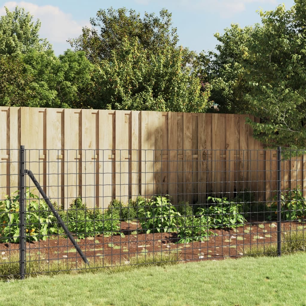 vidaXL Drátěný plot antracitový 0,8 x 10 m pozinkovaná ocel