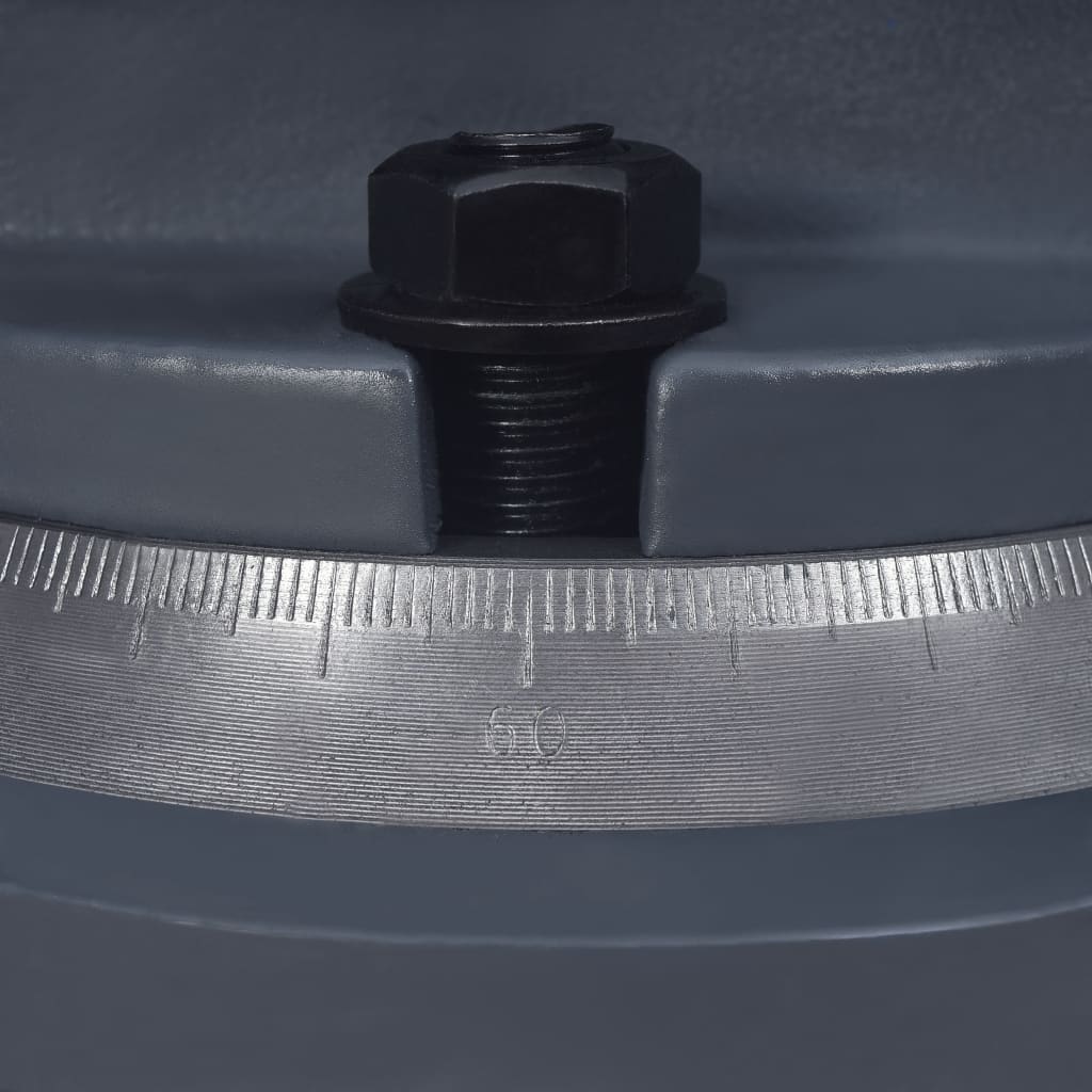 vidaXL Otočný strojní svěrák litina 100 mm