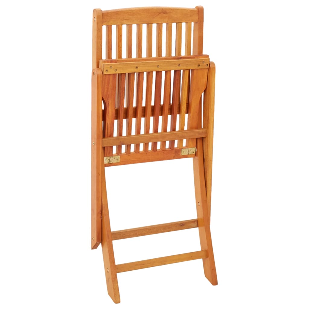 vidaXL Skládací zahradní židle 2 ks masivní eukalyptové dřevo