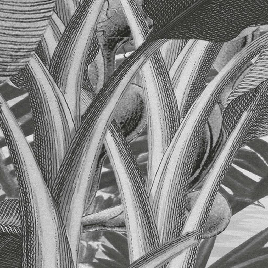Komar Fototapeta Amazonia černobílá 400 x 250 cm